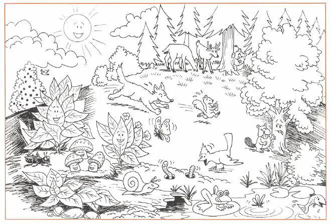 taiga animals coloring pages - photo #42