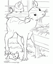 desenho vaca para colorir