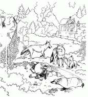 desenho de animais selvagens para colorir