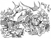 desenhos de animais marinhos para imprimir