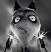 Frankenweenie cachorro sparky colorir
