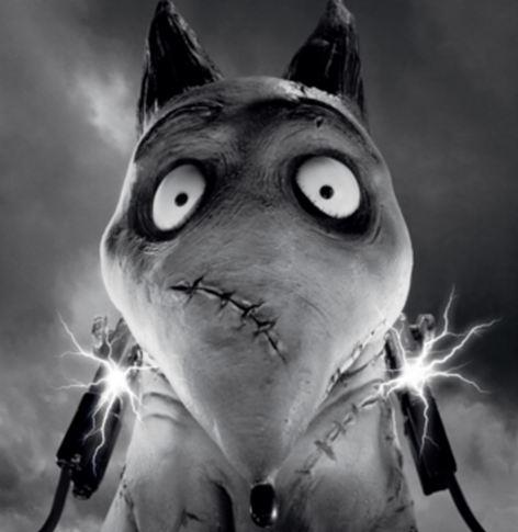 Frankenweenie cachorro sparky colorir