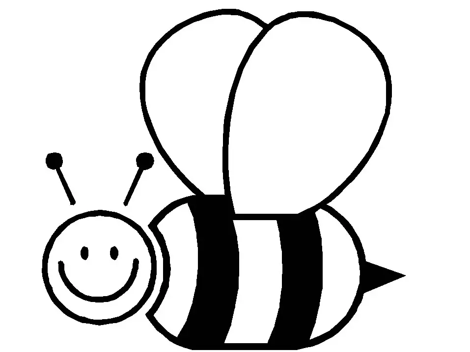 abelha desenho colorir