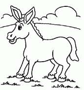 burro desenho colorir
