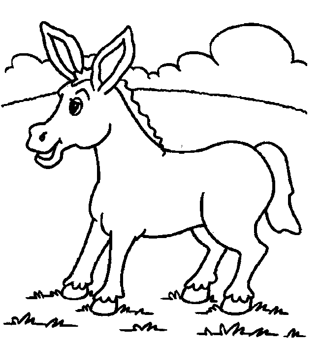 burro desenho colorir