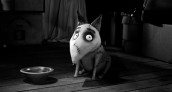 imagem cão sparky Frankenweenie desenho disney