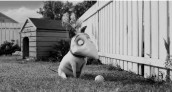 sparky Frankenweenie