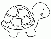 tartaruga desenho colorir