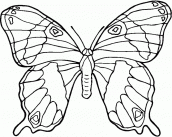 borboletas para pintar, imprimir e colorir