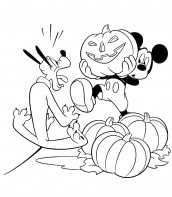 abobora halloween pluto mickey