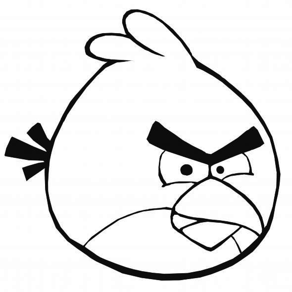 angry bird