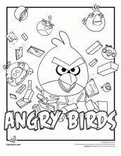 angrybirds