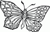 borboleta desenho para colorir