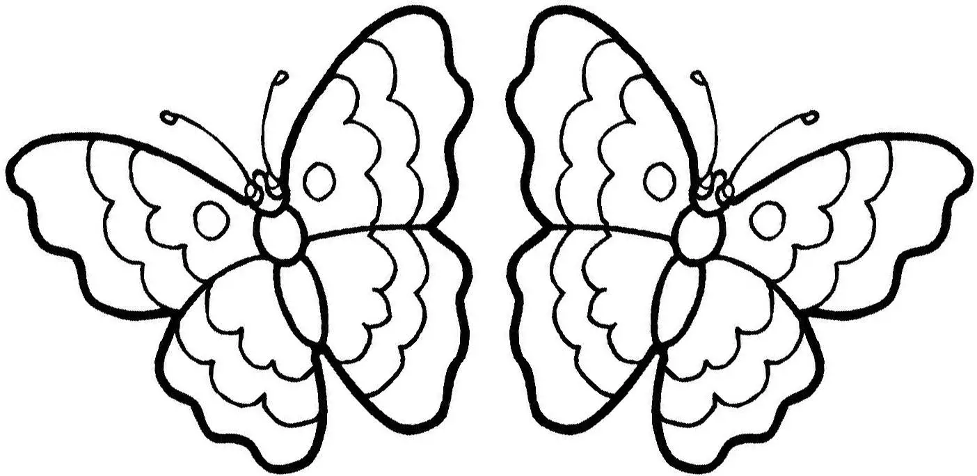 borboleta desenhos