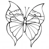 borboleta em desenho