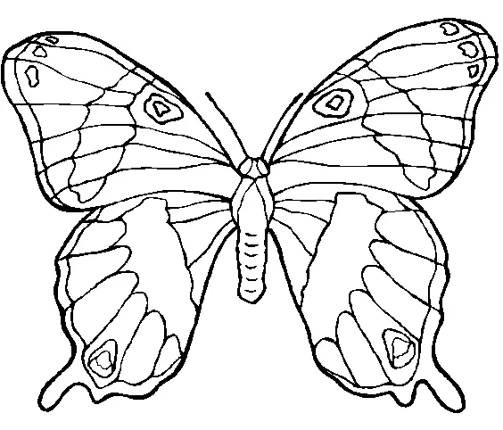borboleta para imprimir