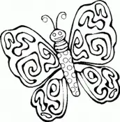 borboleta para pintar