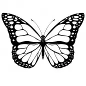 borboletas desenho para colorir