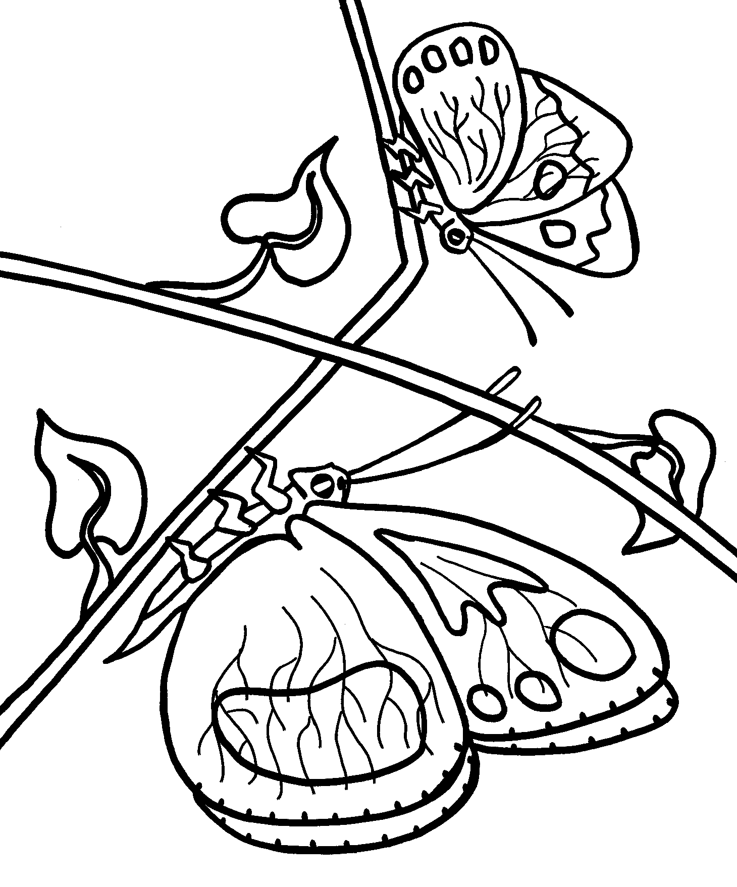 borboletas para imprimir