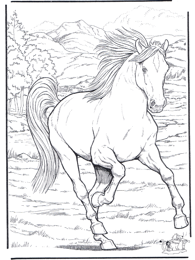 cavalos para desenhar