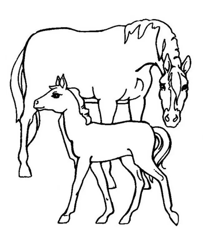 cavalos para pintar