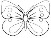 desenho borboleta para colorir