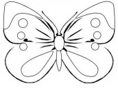 desenho borboleta para colorir