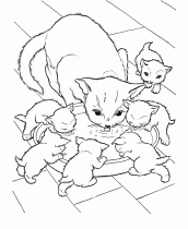 desenho colorir gatos (1)