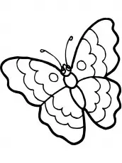 desenho da borboleta
