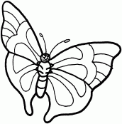 desenho de borboletas para imprimir e pintar