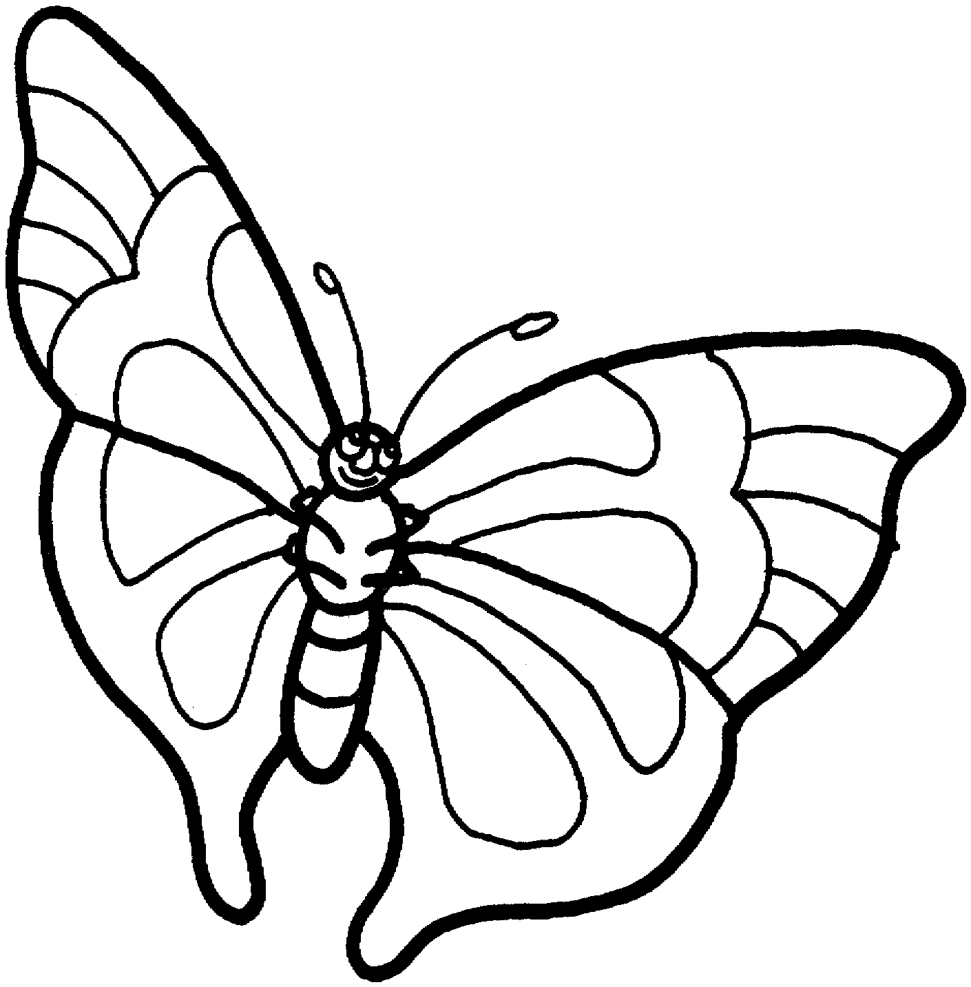 desenho de borboletas para imprimir e pintar