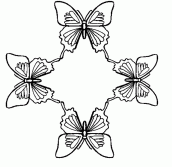 desenho de borboletas para pintar