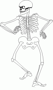 desenho do esqueleto humano para colorir