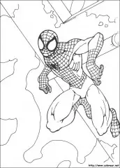 desenho do homem aranha colorir pintar imprimir