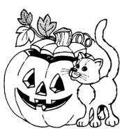 desenho gato preto halloween colorir