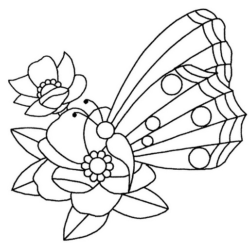 desenho para colorir borboleta