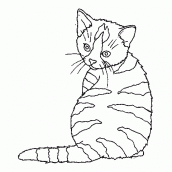 desenho de mão desenho de desenho de gato para colorir 6523349