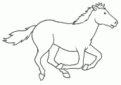 desenhos para colorir cavalo