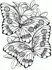 desenhos para colorir flores e borboletas