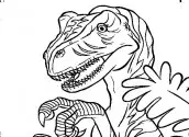 dinossauro rex para colorir