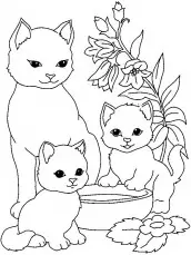 gato para colorir 05