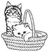 gatos para colorir 01