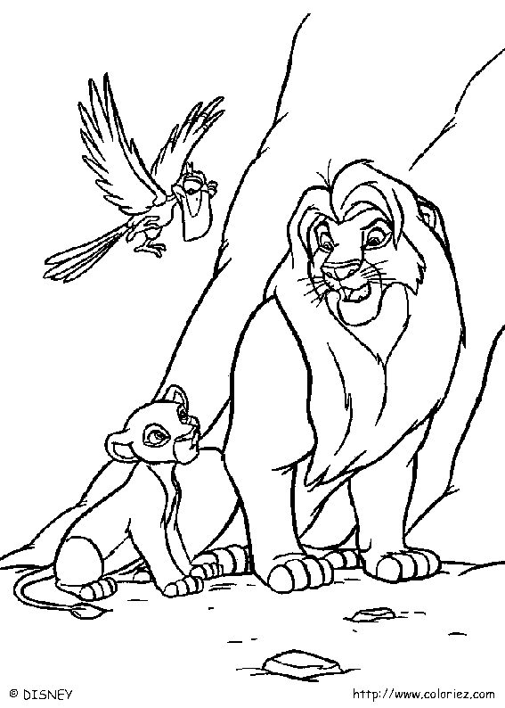 rei leao simba mufasa zazu pintar colorir