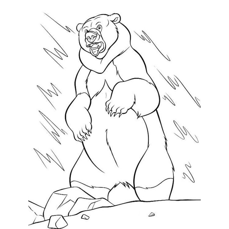 urso para colorir 08