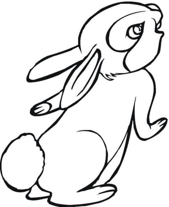 colorear-conejos-dibujos-infantiles