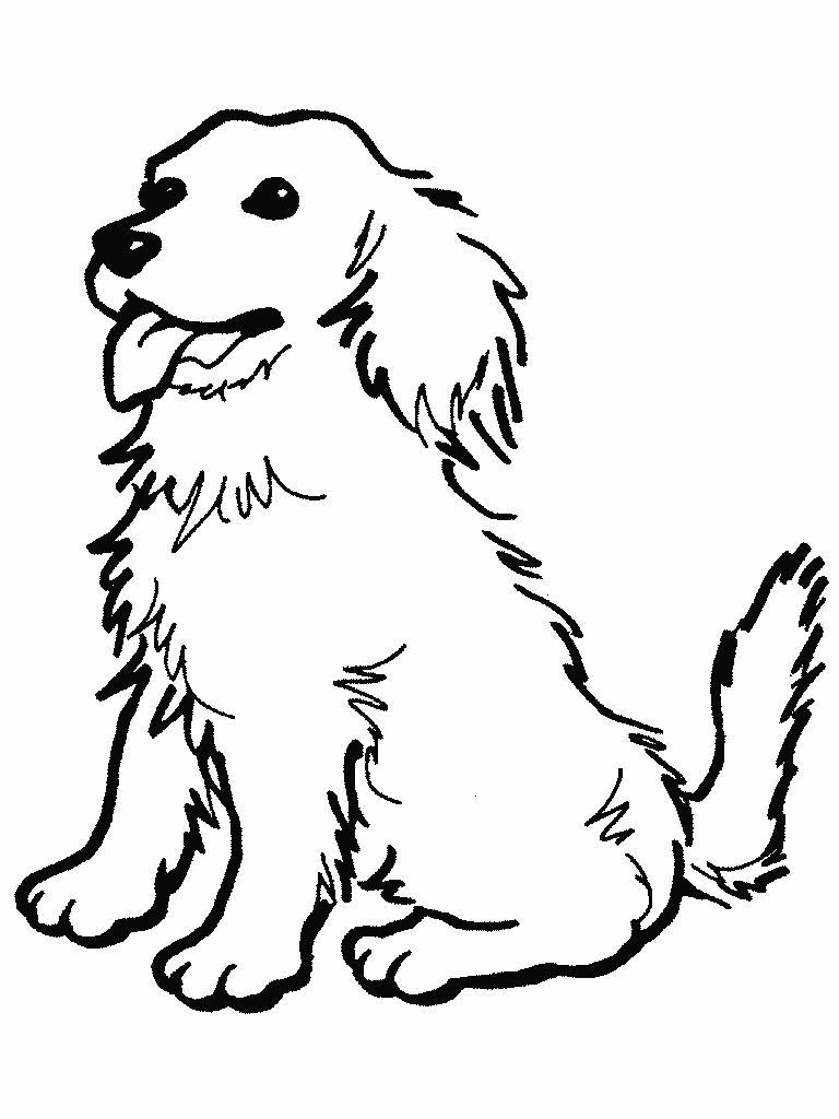 desenho cachorro para colorir