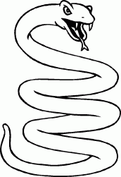 desenho de cobras para colorir