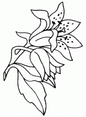 desenho flor para colorir