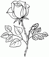 desenho flor para colorir