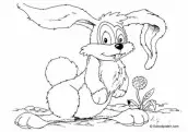 desenhos para colorir coelho